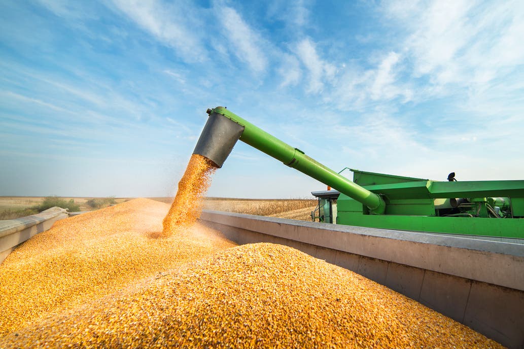 Por qué son claves las exportaciones del agro para que se recupere la economía